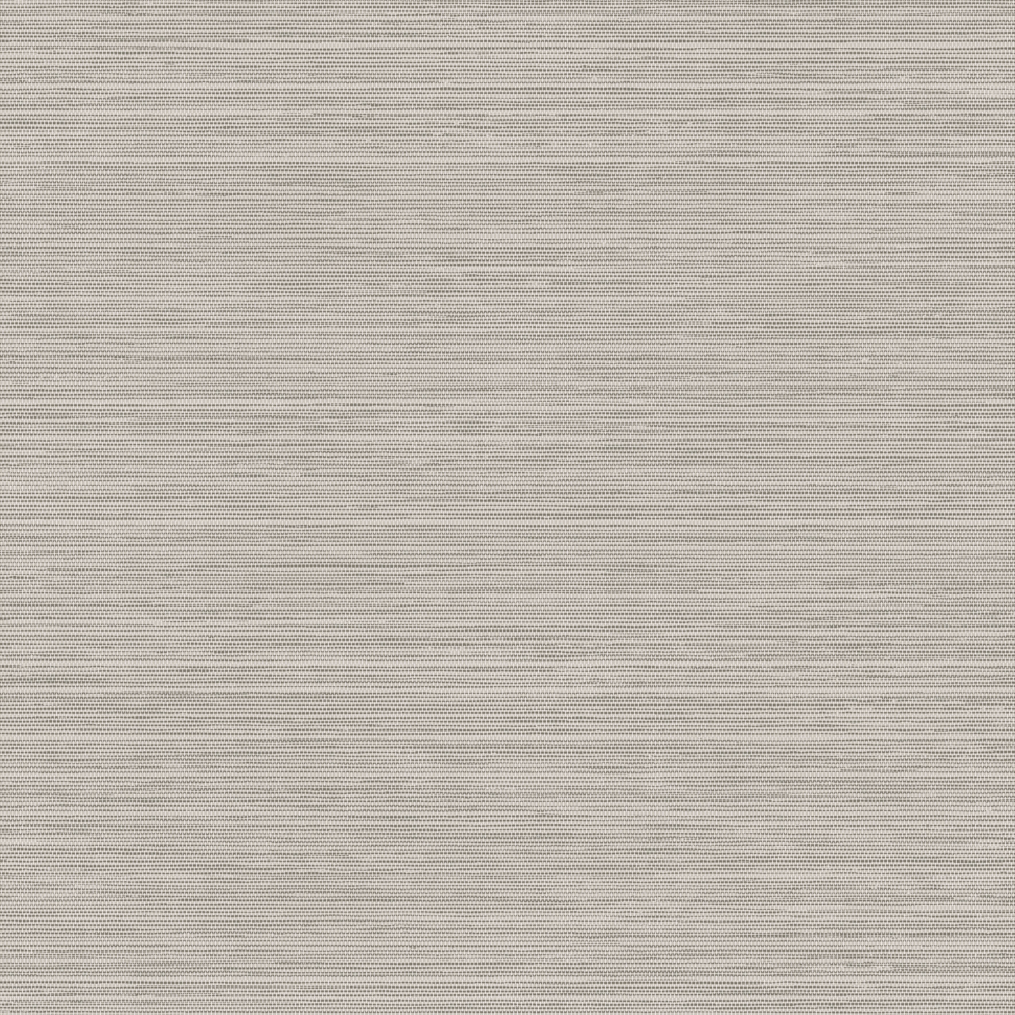 26703 Le Sisal Les Naturels Arte - Traumfarbe