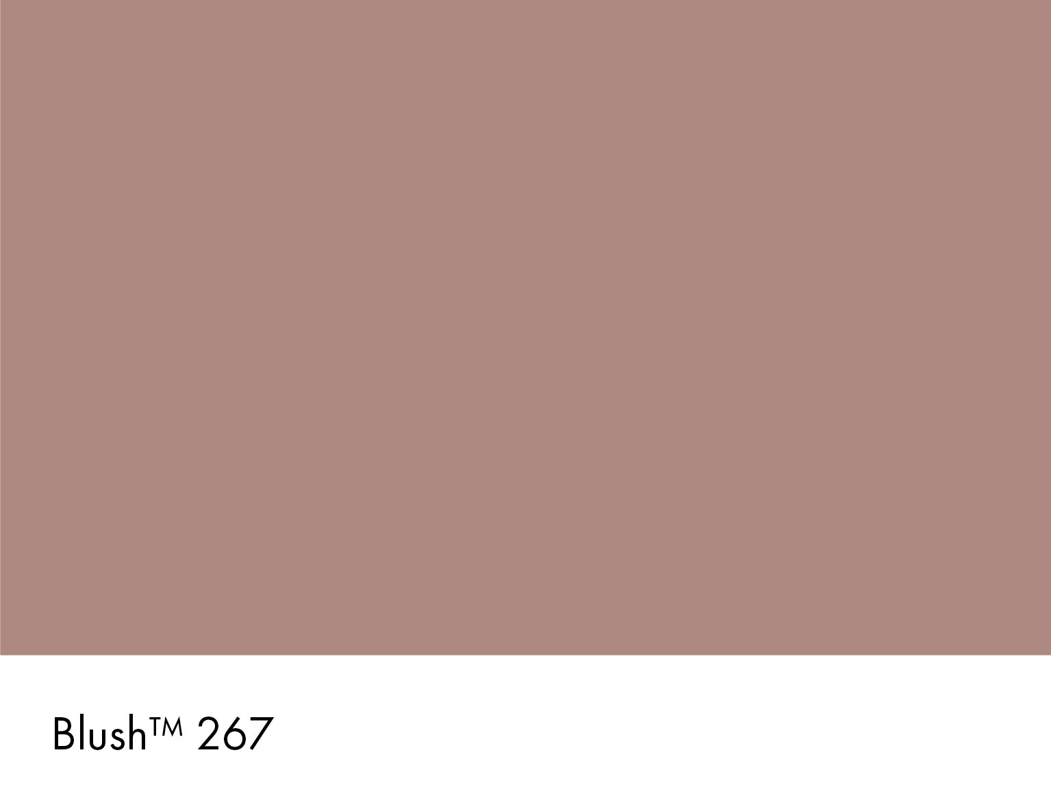 Blush Intelligent Exterior Eggshell Little Greene
