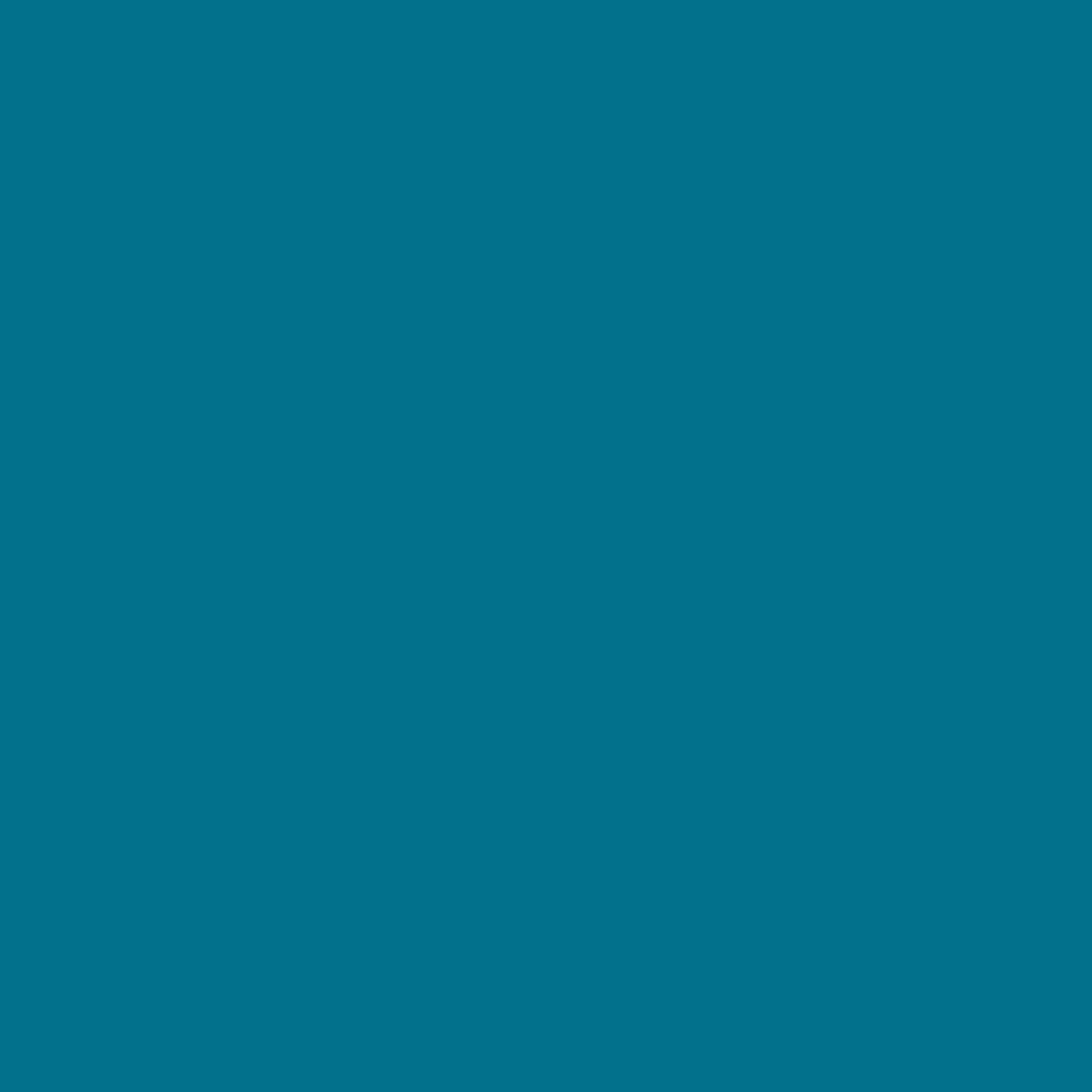 280 Electro Wall Primer Flamant - Traumfarbe