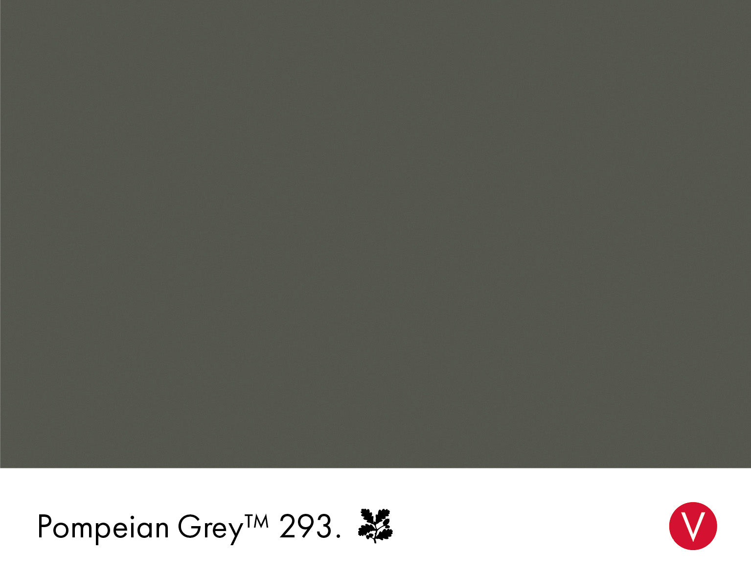 Pompeian Ash Intelligent Matt Emulsion Little Greene