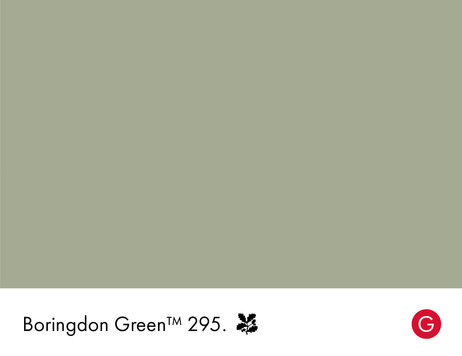 Boringdon Green Limewash Little Greene