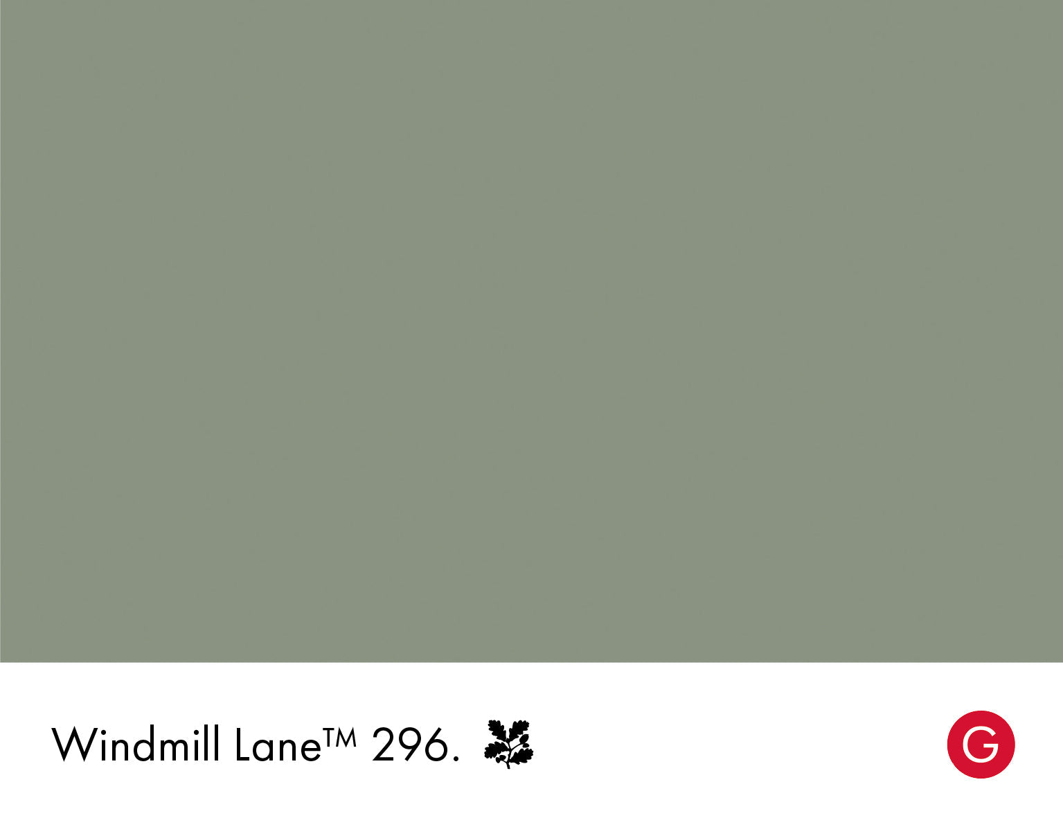 Windmill Lane Limewash Little Greene