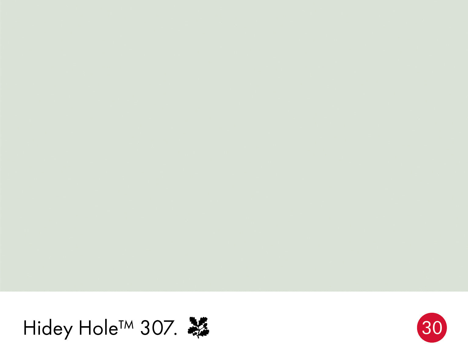 Hidey Hole Limewash Little Greene
