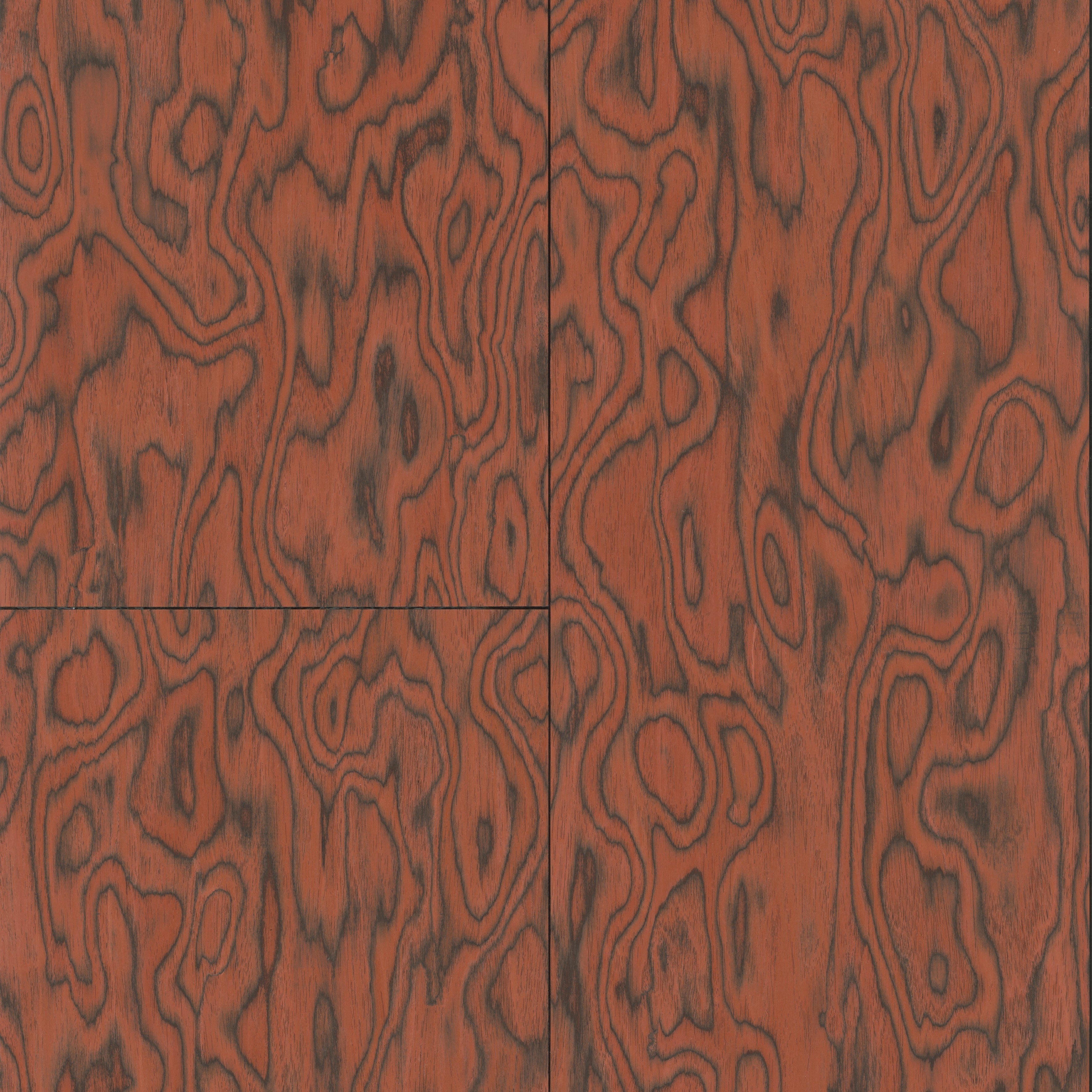 30800 Coti Embleme Arte - Traumfarbe