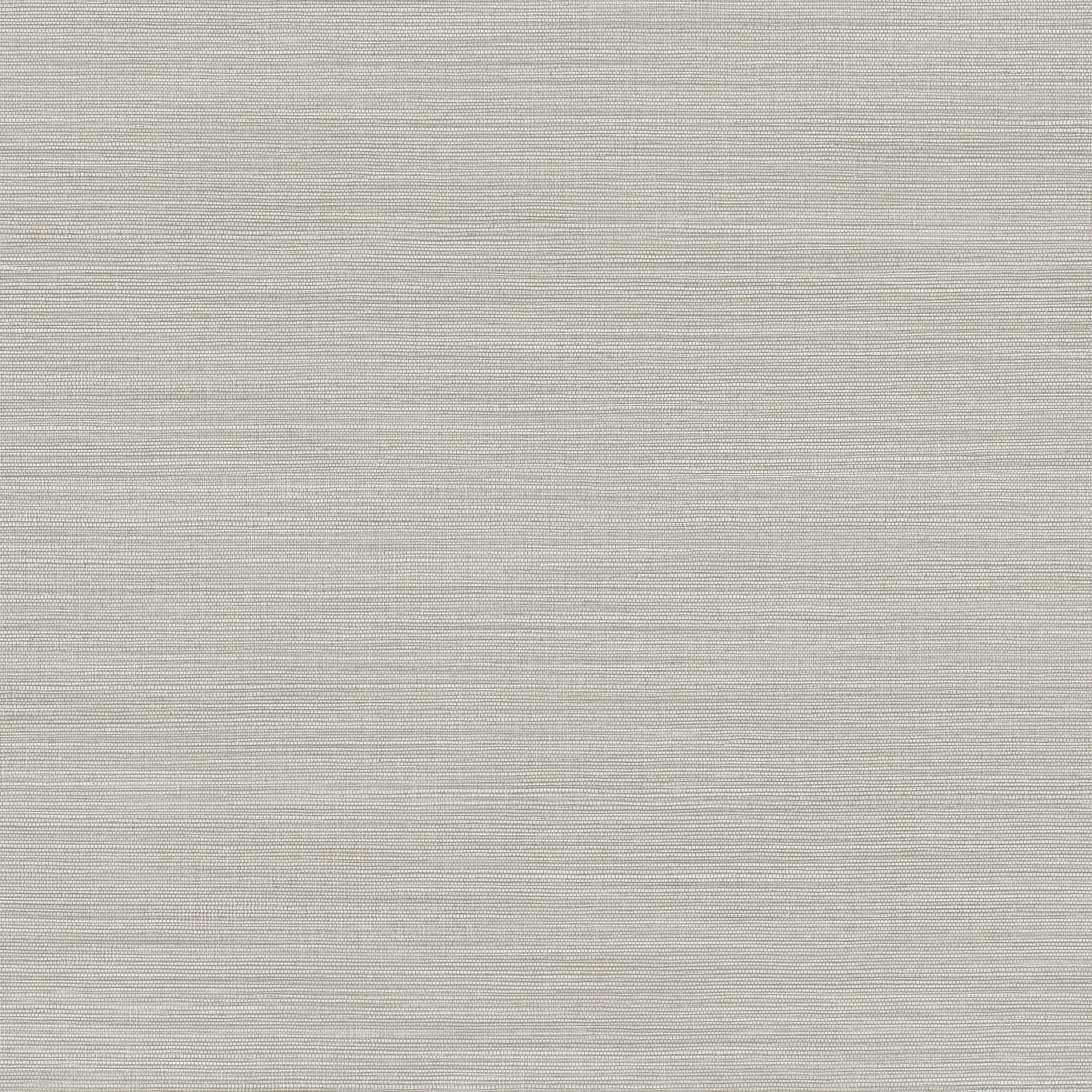 31501 Textura Marsh Arte - Traumfarbe