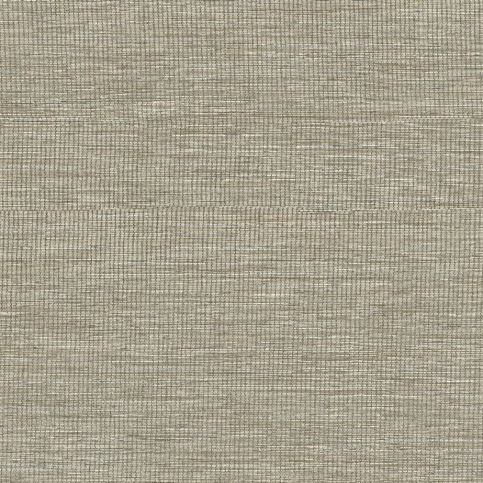 31503 Textura Marsh Arte - Traumfarbe