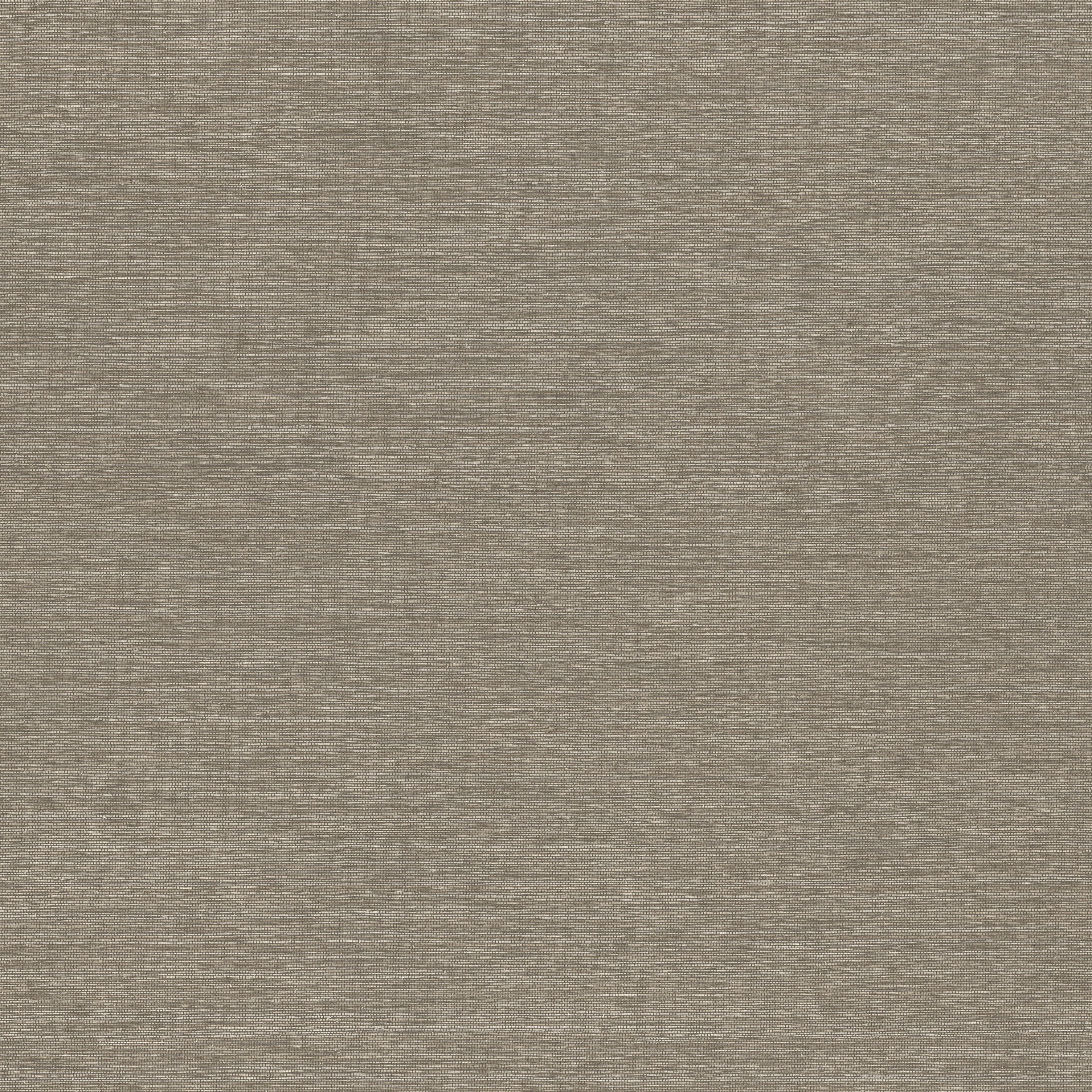 31509 Textura Marsh Arte - Traumfarbe