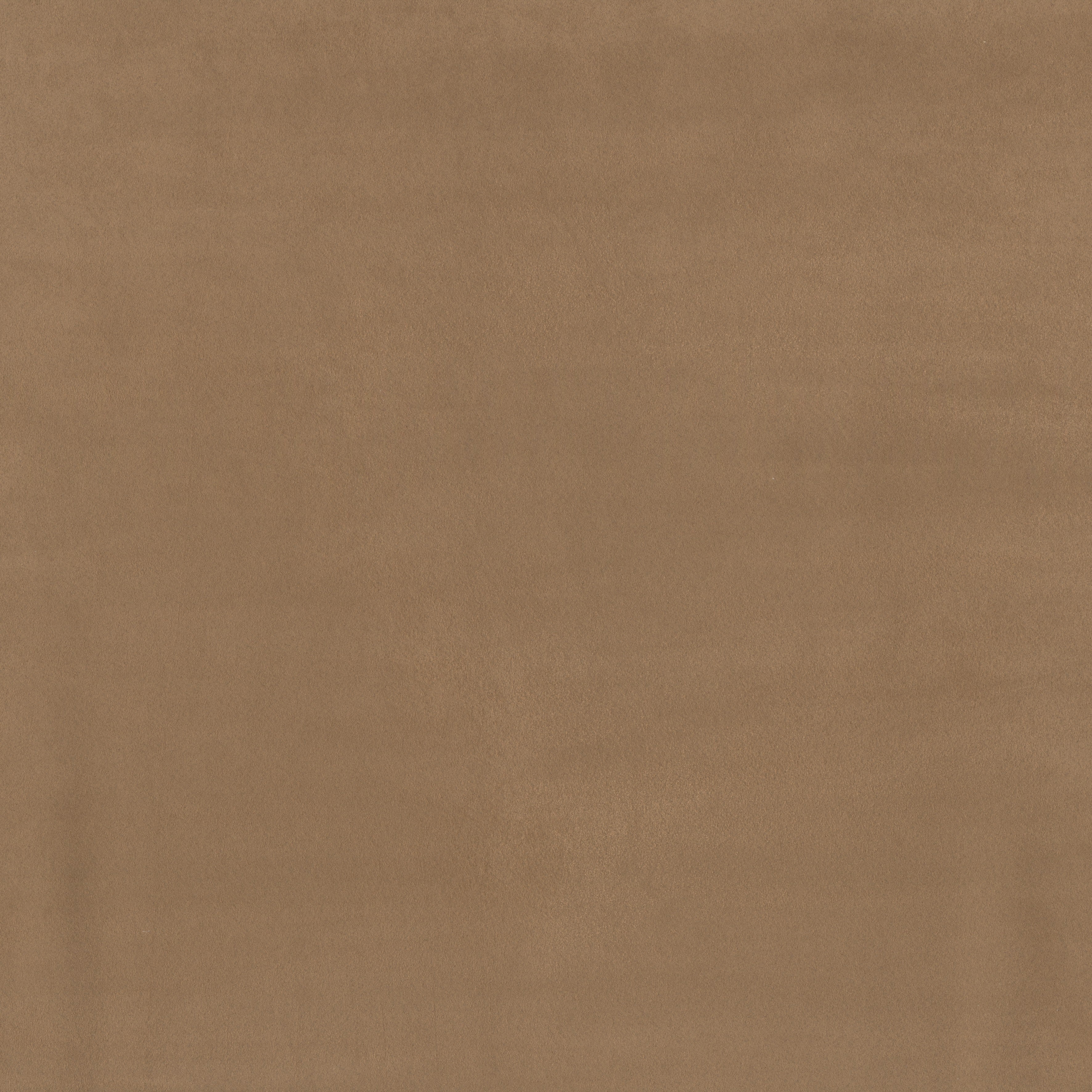 31754 Noble Marquesa Arte - Traumfarbe