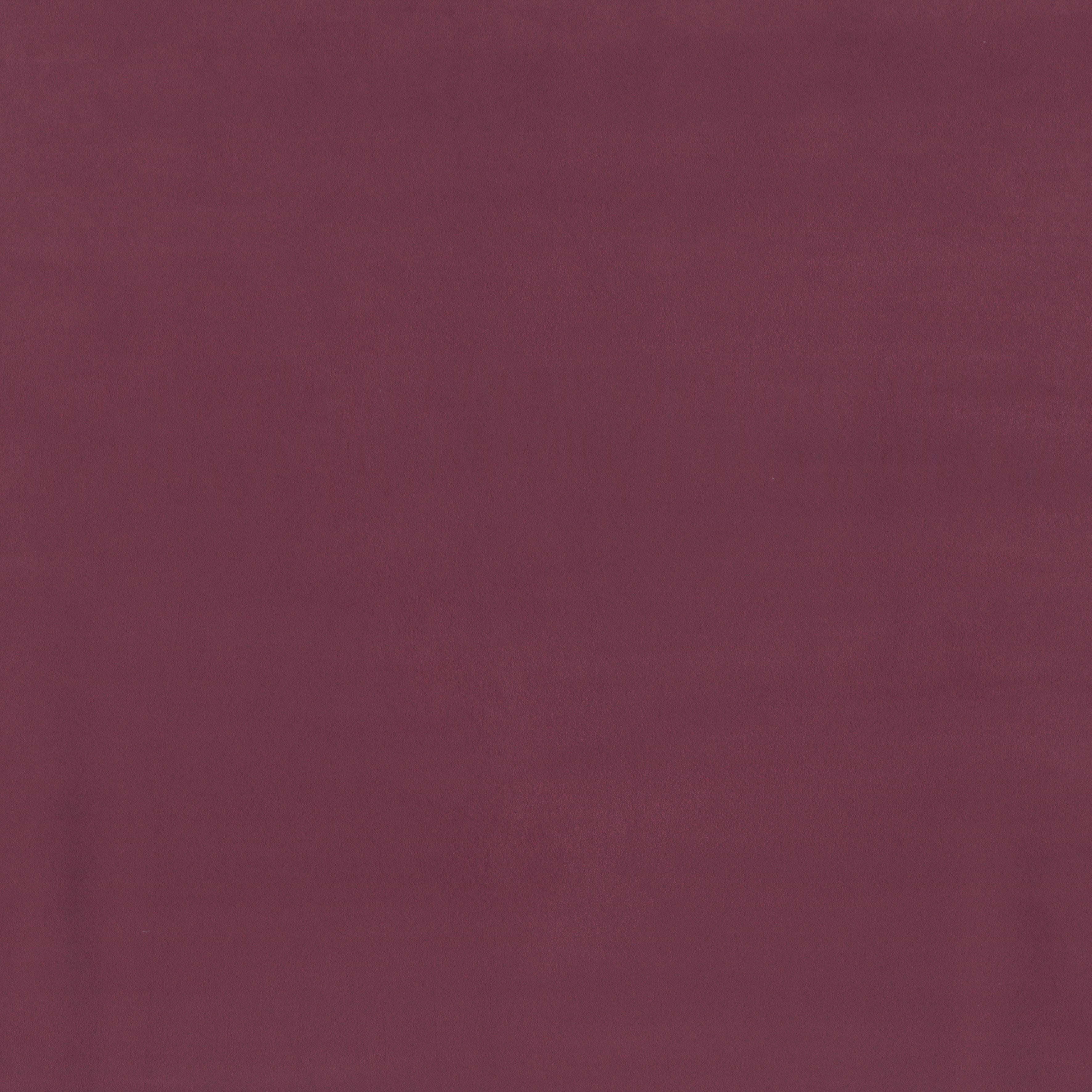 31756 Noble Marquesa Arte - Traumfarbe