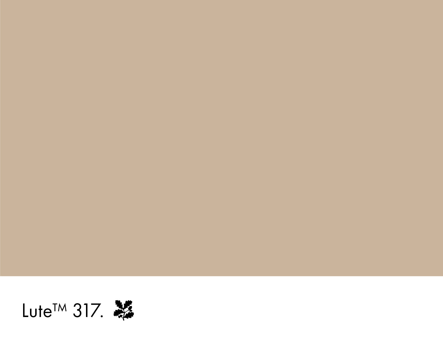 Lute Limewash Little Greene
