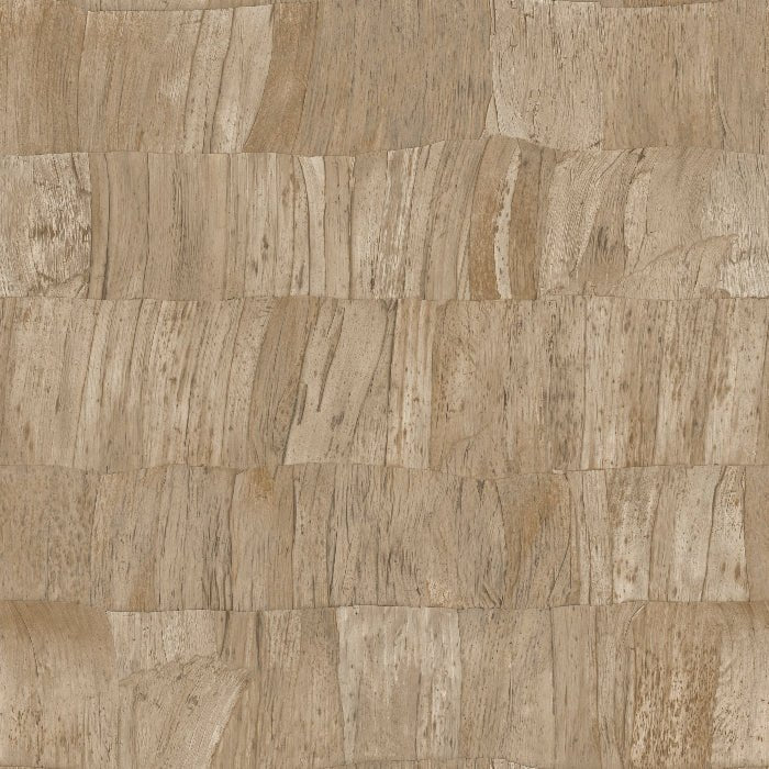 34300 Selva Capas Arte - Traumfarbe