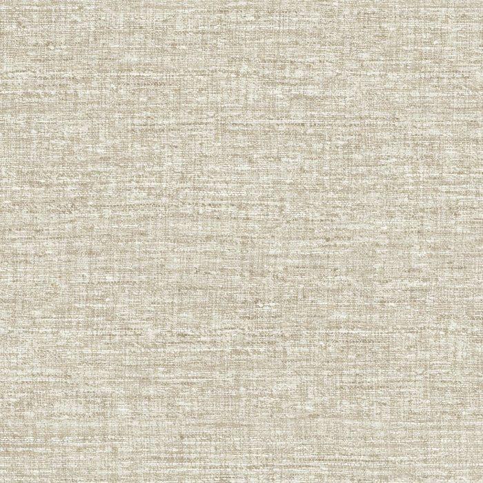 40545 Textura Aspero Arte - Traumfarbe