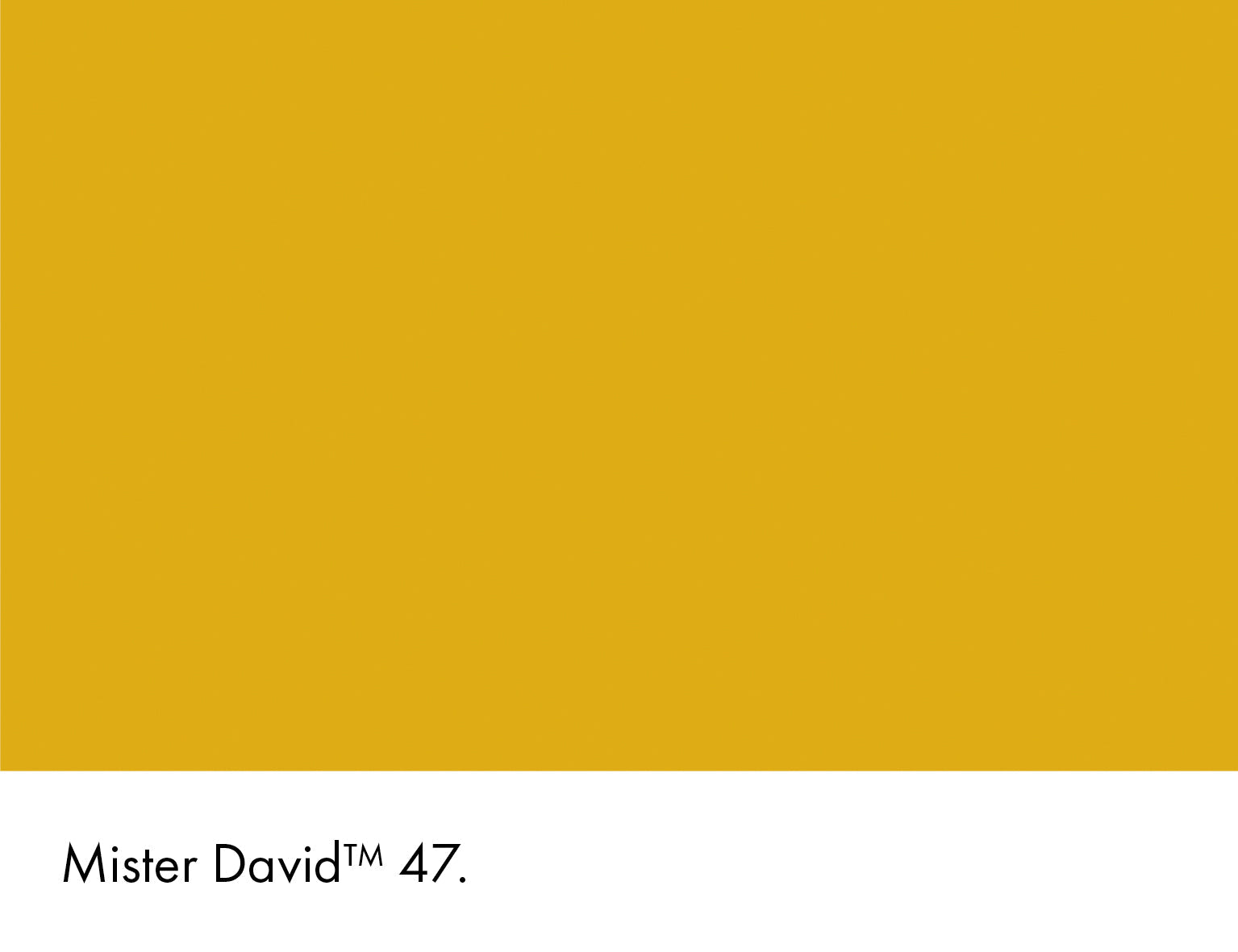 Mister David Intelligent Matt Emulsion Little Greene