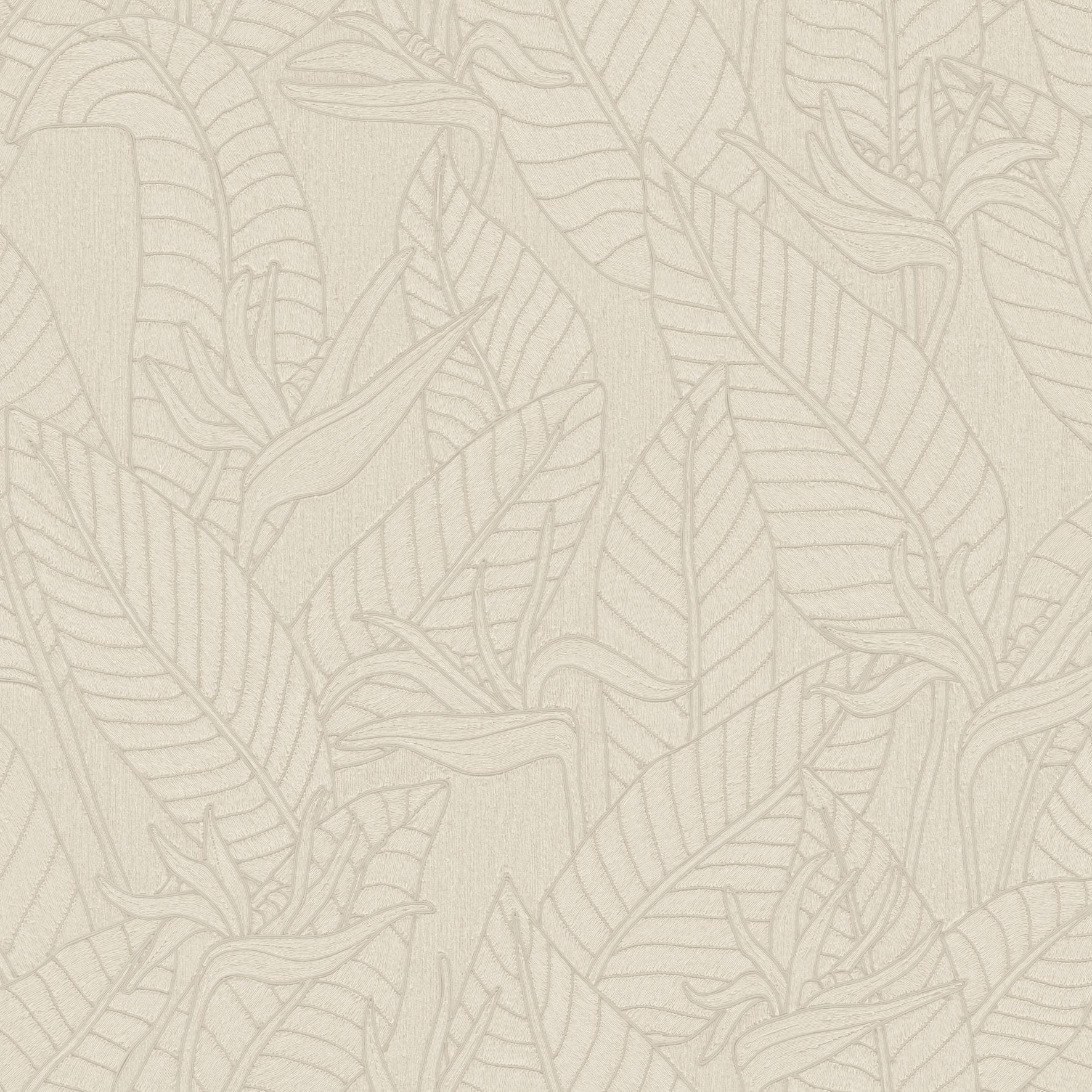60744 Strelitzia Tali Arte - Traumfarbe