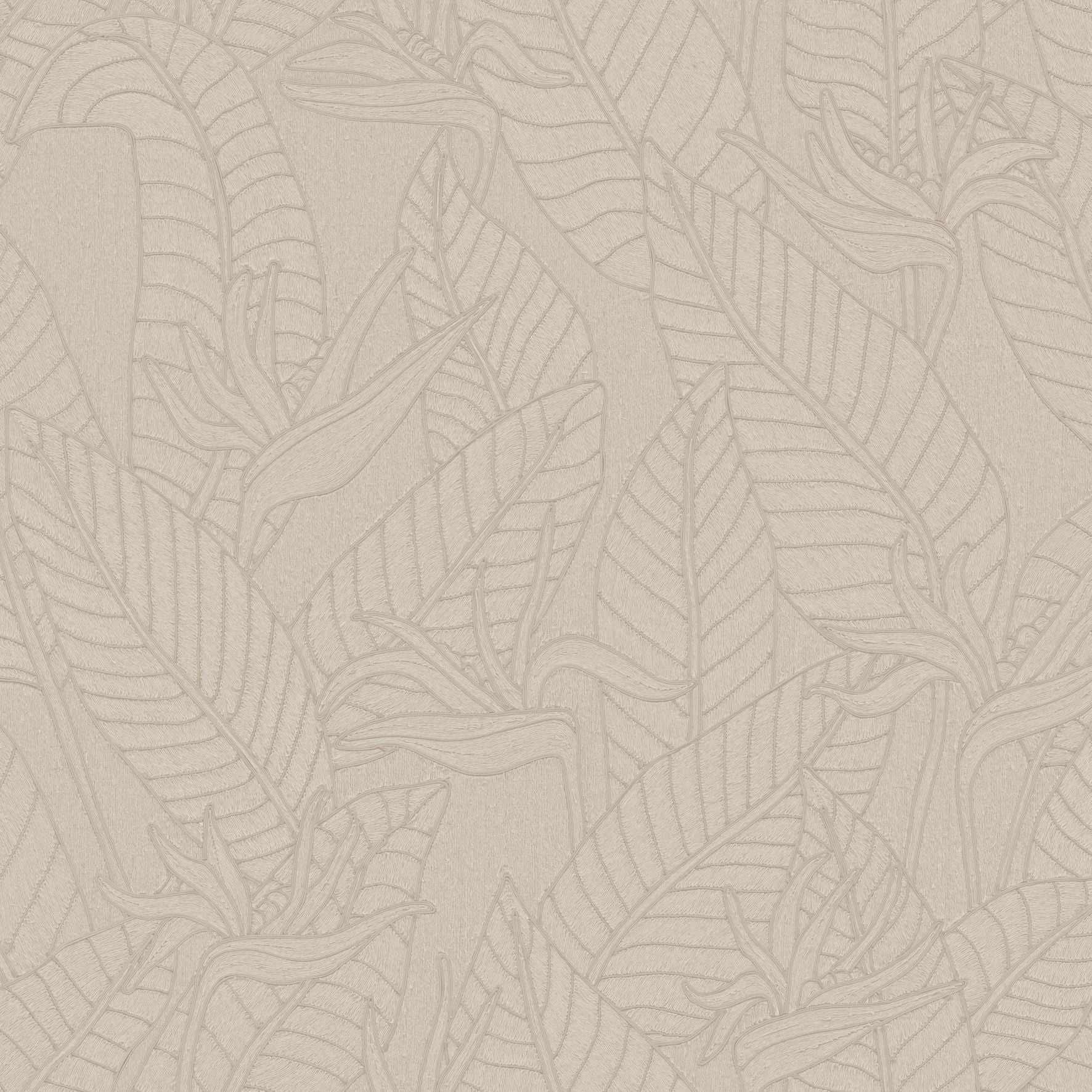 60750 Strelitzia Tali Arte - Traumfarbe