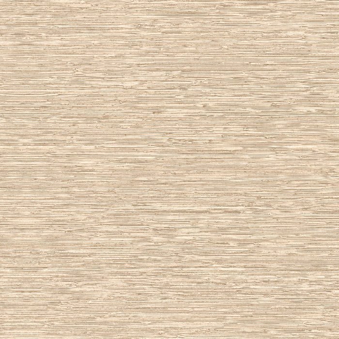 73521 Matiz Pampas Arte - Traumfarbe