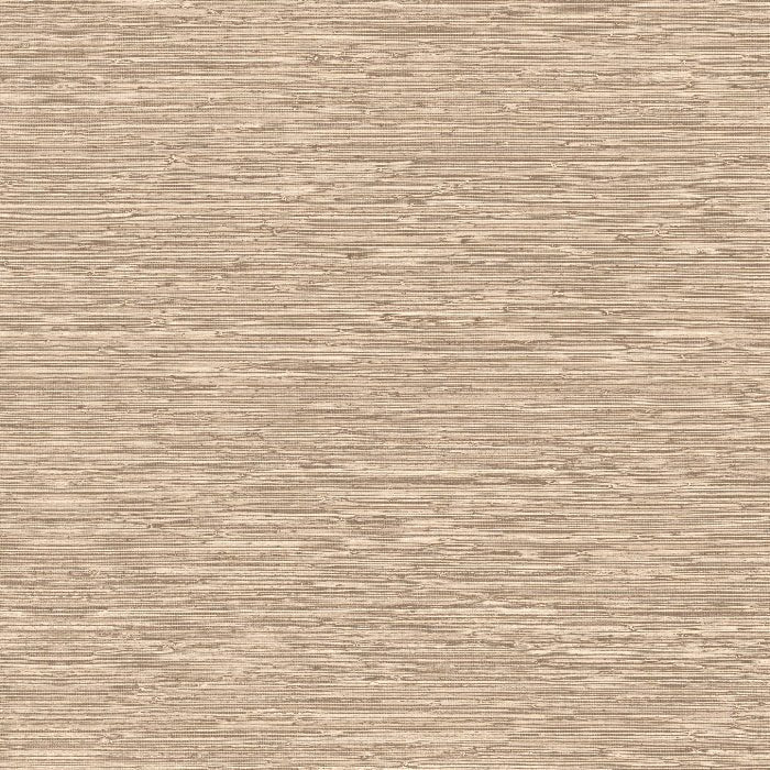 73522 Matiz Pampas Arte - Traumfarbe
