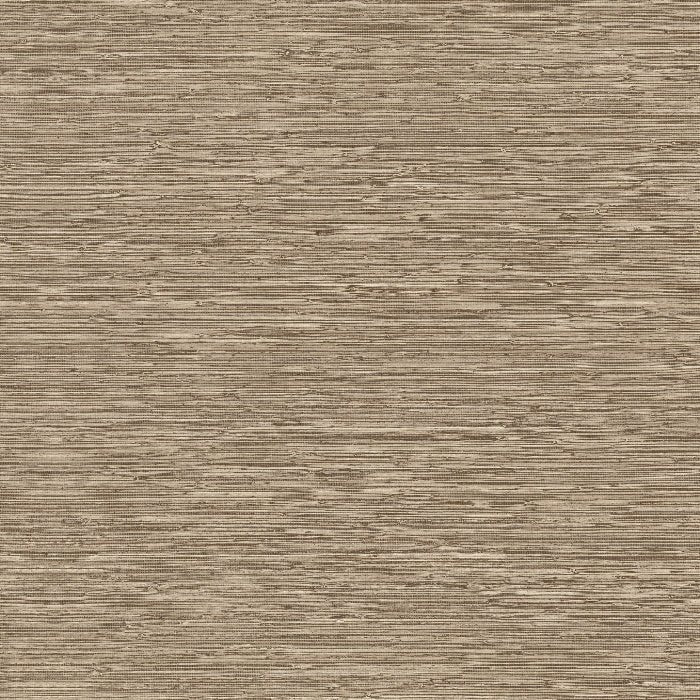 73523 Matiz Pampas Arte - Traumfarbe