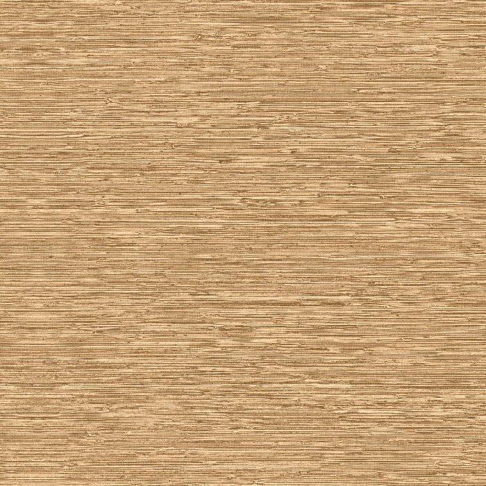 73525 Matiz Pampas Arte - Traumfarbe