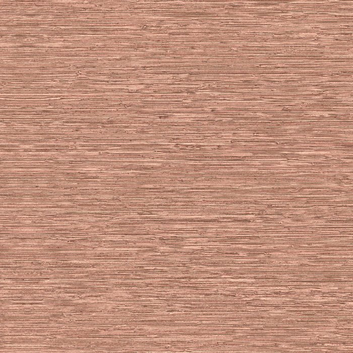73528 Matiz Pampas Arte - Traumfarbe