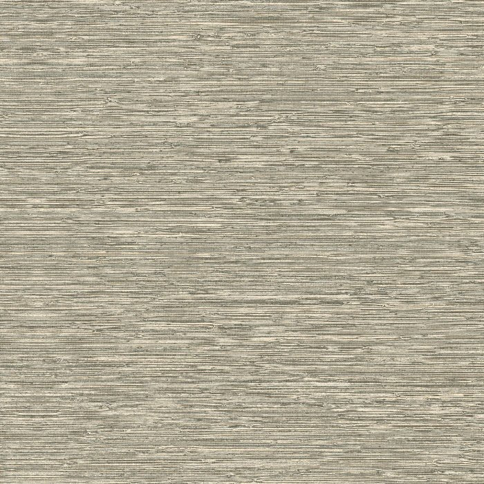 73530 Matiz Pampas Arte - Traumfarbe