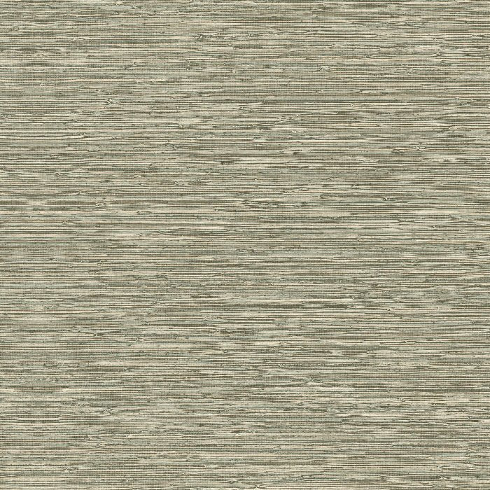 73532 Matiz Pampas Arte - Traumfarbe