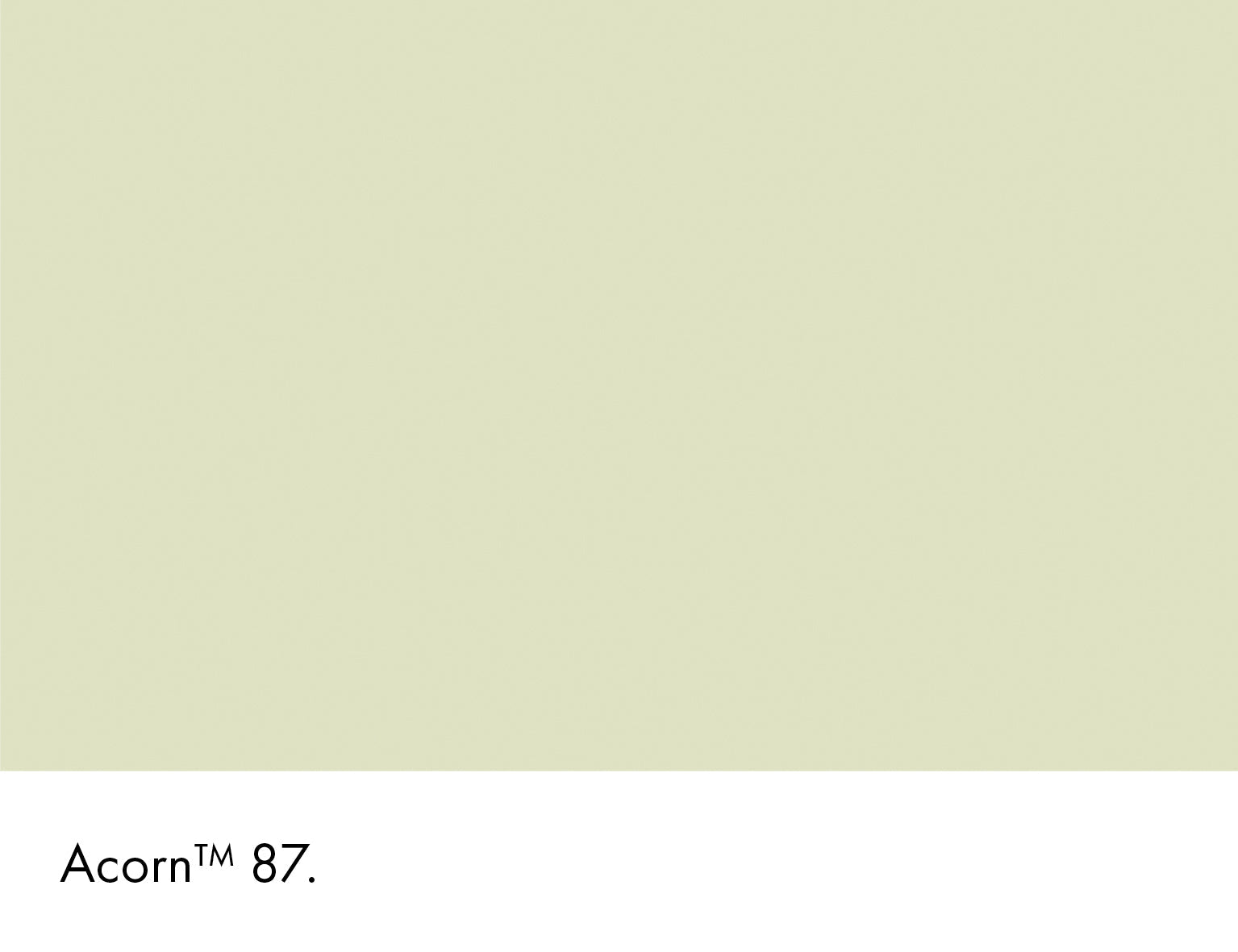 Acorn Wall Primer Sealer Little Greene