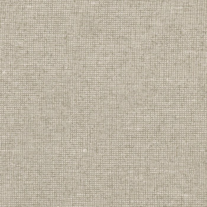 91506 Palette Chanderi Arte - Traumfarbe
