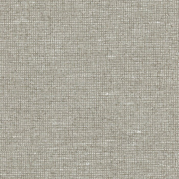 91507 Palette Chanderi Arte - Traumfarbe