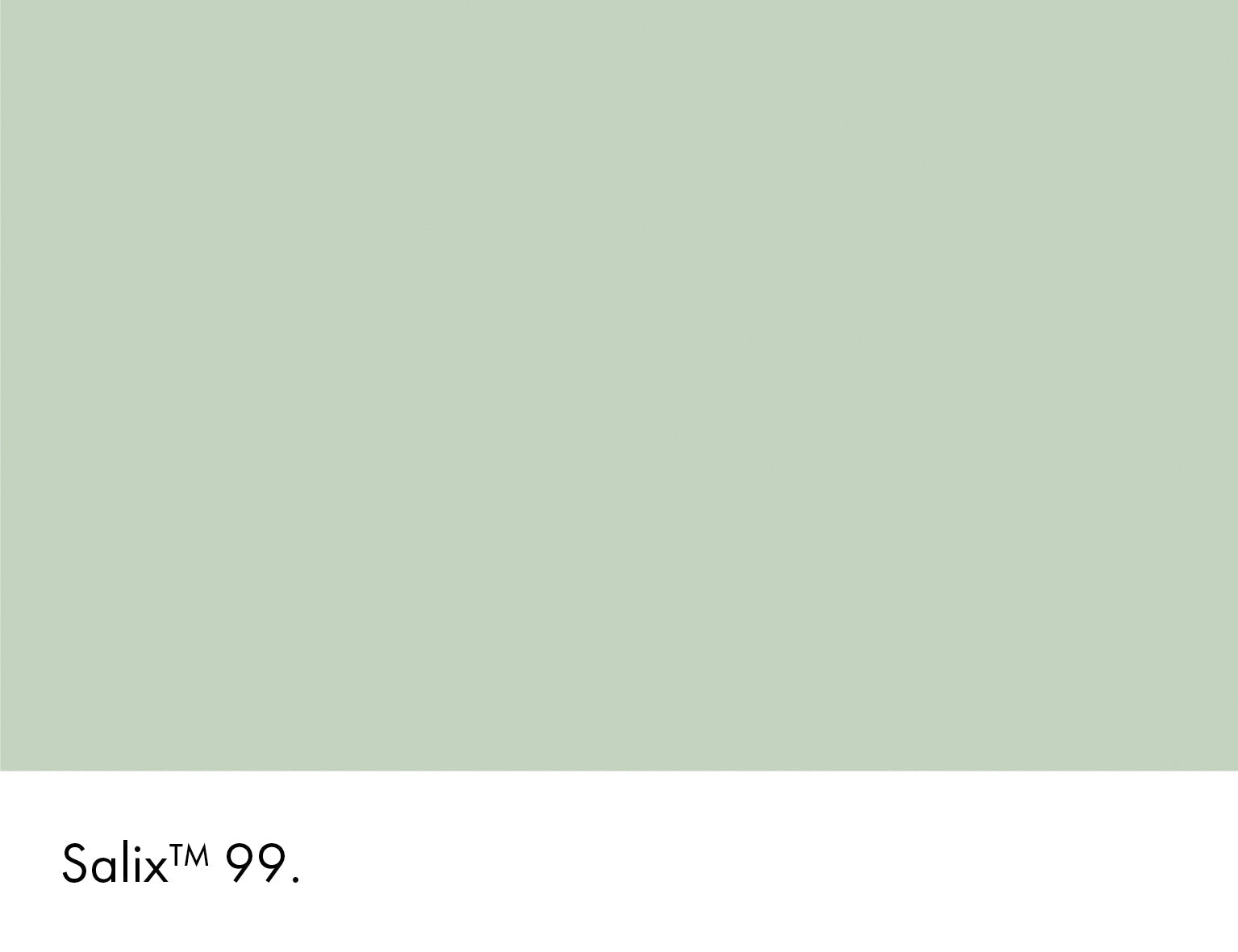 Salix Wall Primer Sealer Little Greene