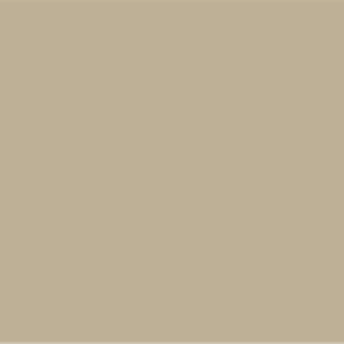 P12 Capuccino Wall Primer Flamant - Traumfarbe