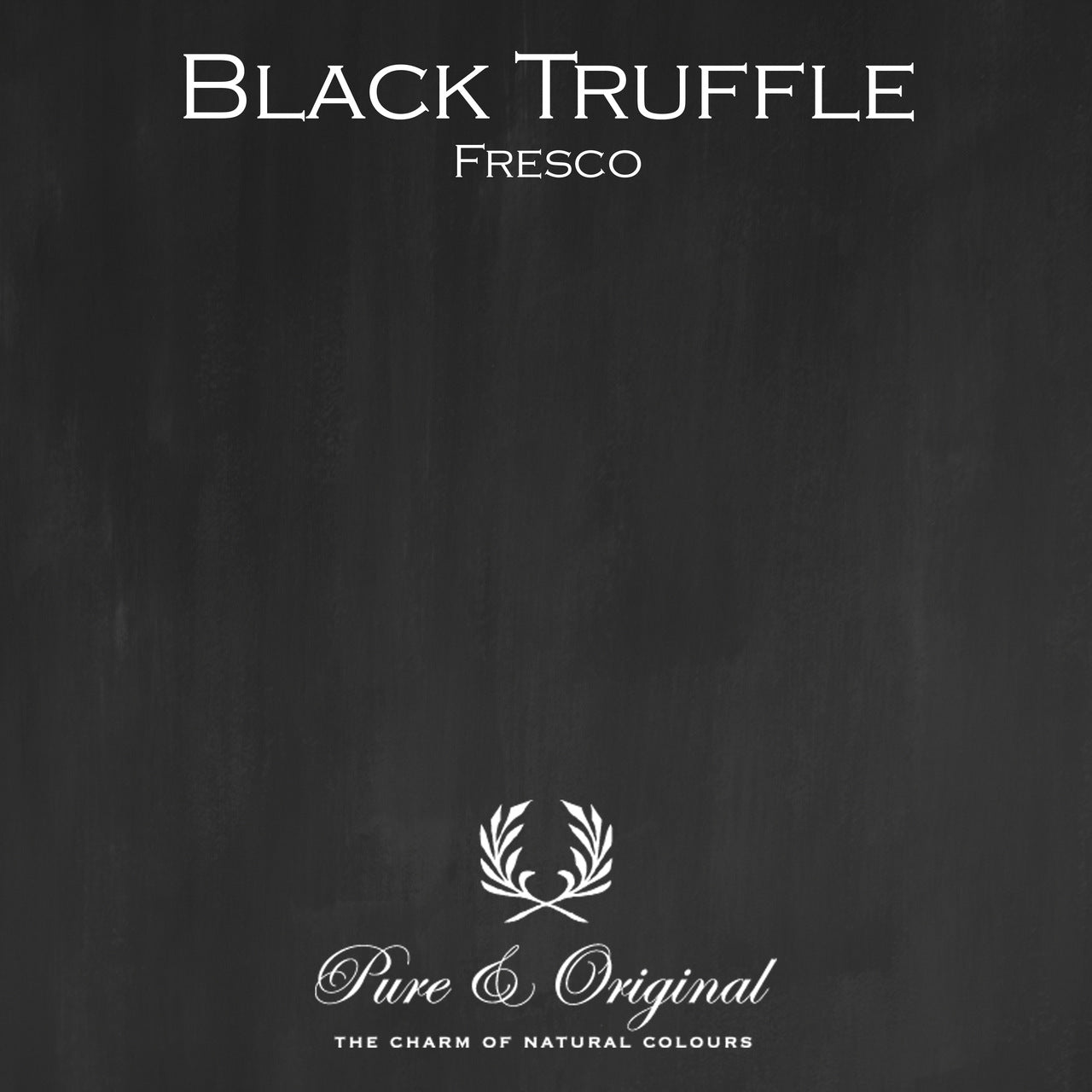 Black Truffle Fresco Kalkfarbe Pure & Original - Traumfarbe
