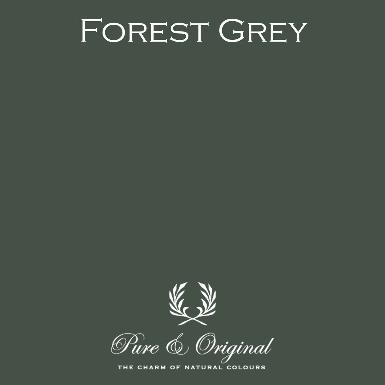 Forest Grey Massif Stucco Pure & Original - Traumfarbe