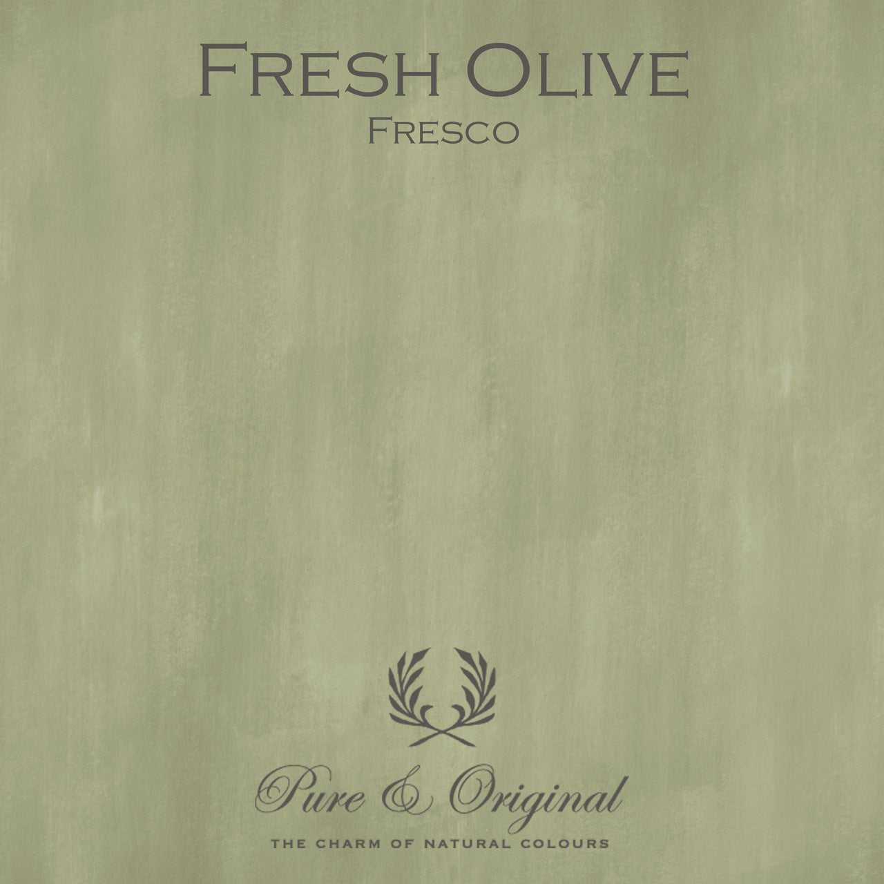 Fresh Olive Fresco Kalkfarbe Pure & Original - Traumfarbe