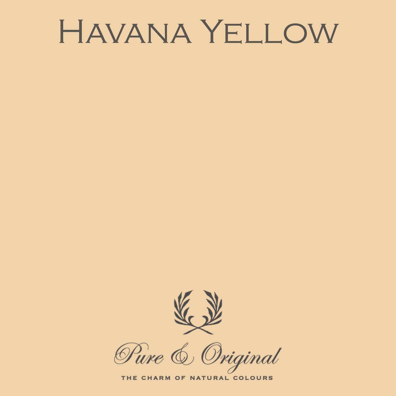 Havana Yellow Eggshell Lak Pure & Original - Traumfarbe