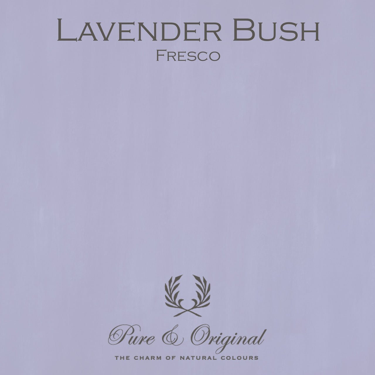 Lavender Bush Fresco Kalkfarbe Pure & Original - Traumfarbe