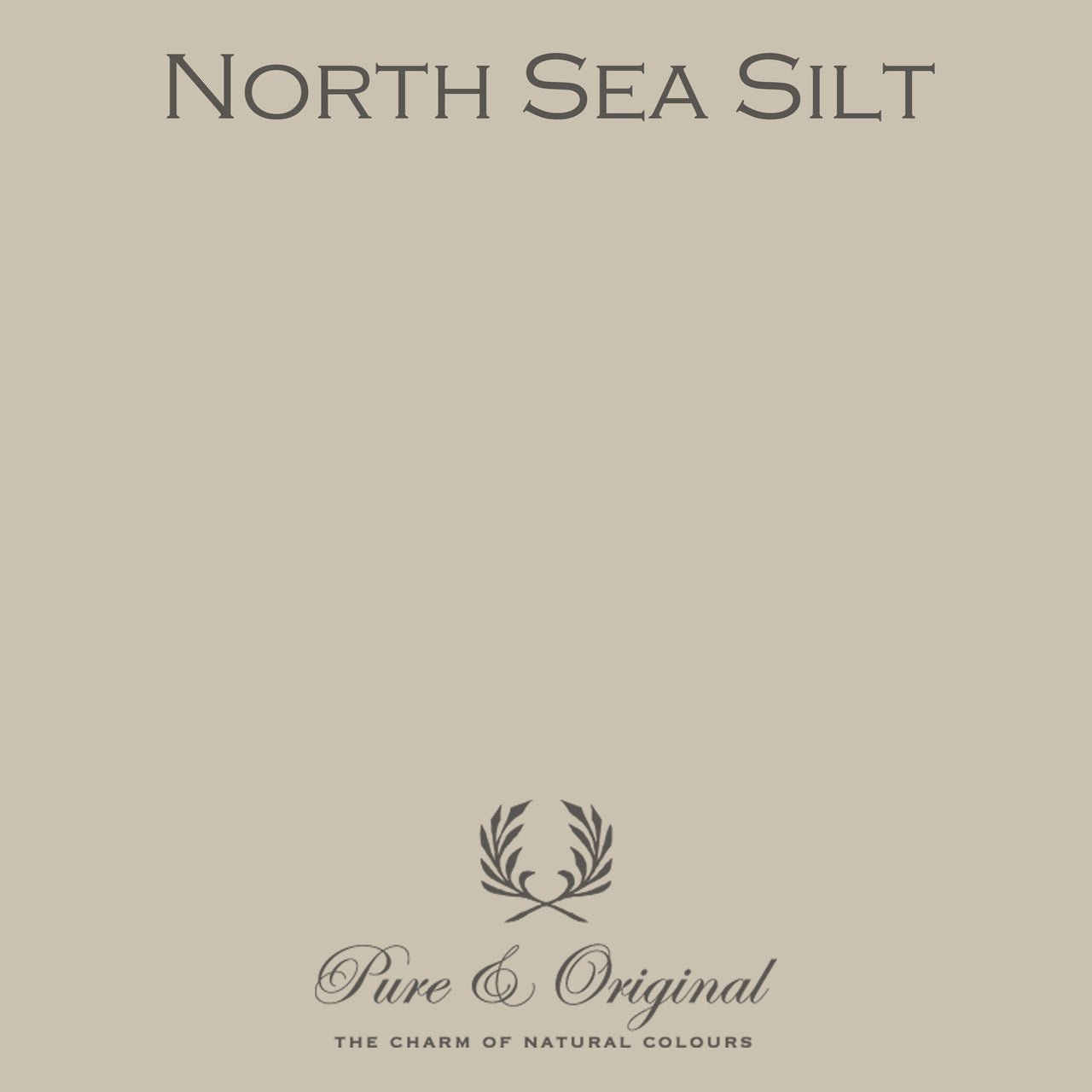 North Sea Silt Massif Stucco Pure & Original - Traumfarbe