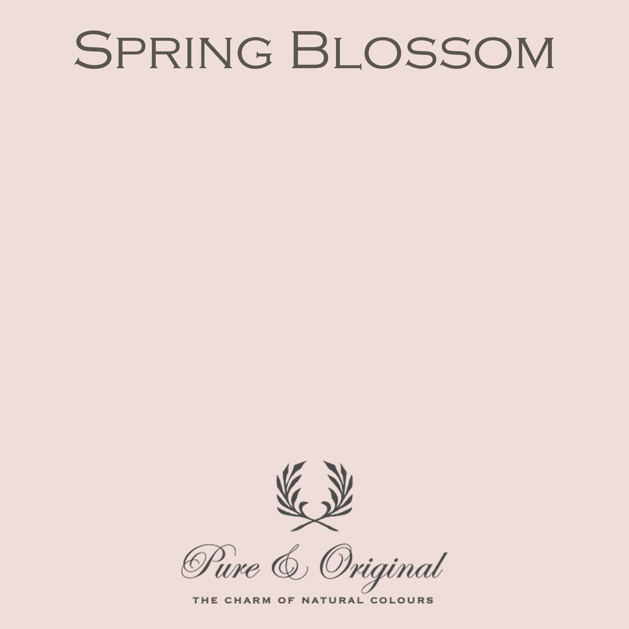 Spring Blossom Licetto (abwaschbare Farbe) Pure & Original - Traumfarbe