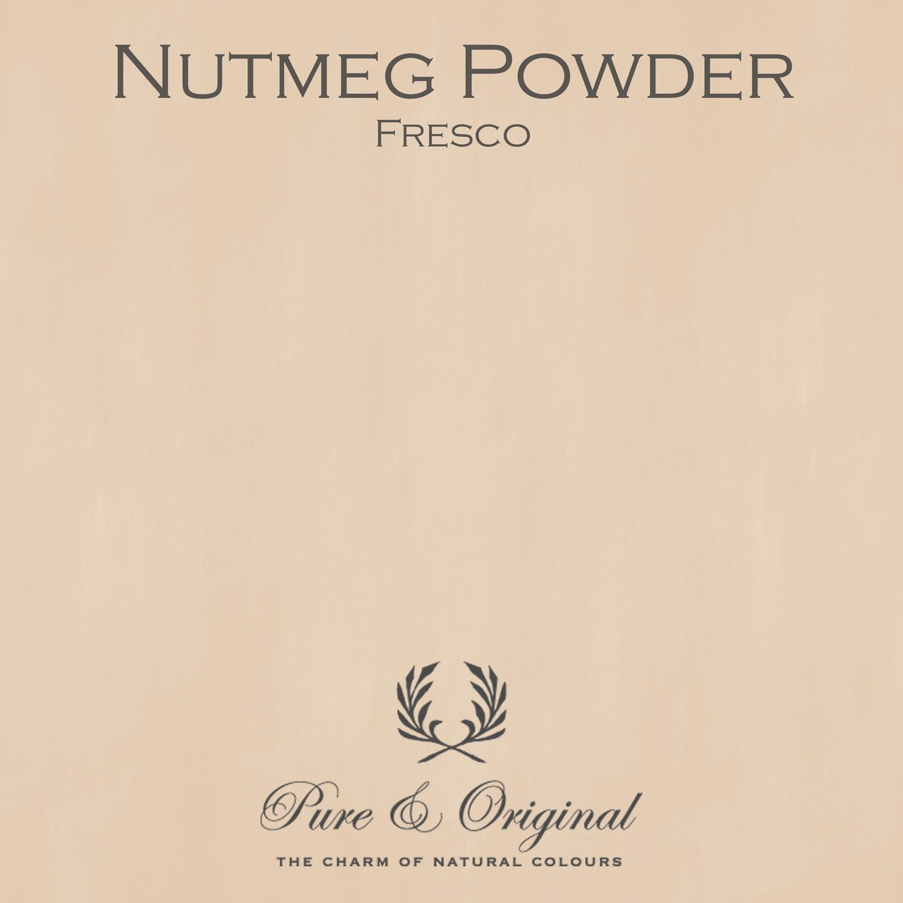 Nutmeg Powder Fresco Kalkfarbe Pure & Original - Traumfarbe