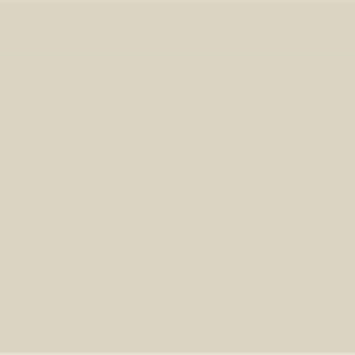 P05 Blanc des Dunes Wall Primer Flamant - Traumfarbe