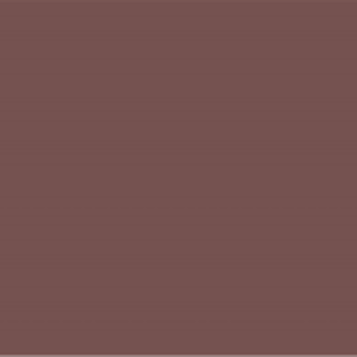 P45 Sang de Boeuf Wall Primer Flamant - Traumfarbe