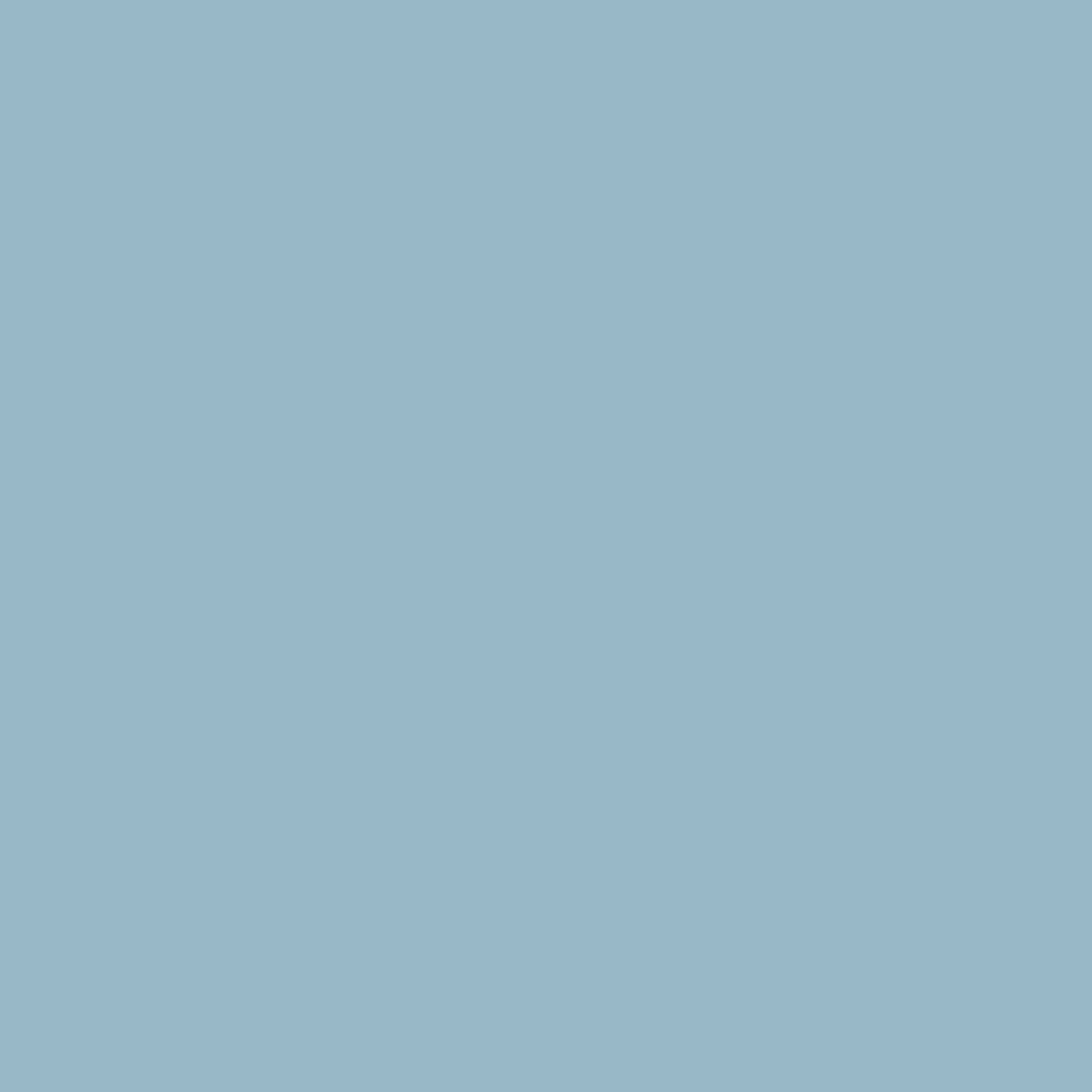 P86 Blue cap Ferrat Wall Primer Flamant - Traumfarbe
