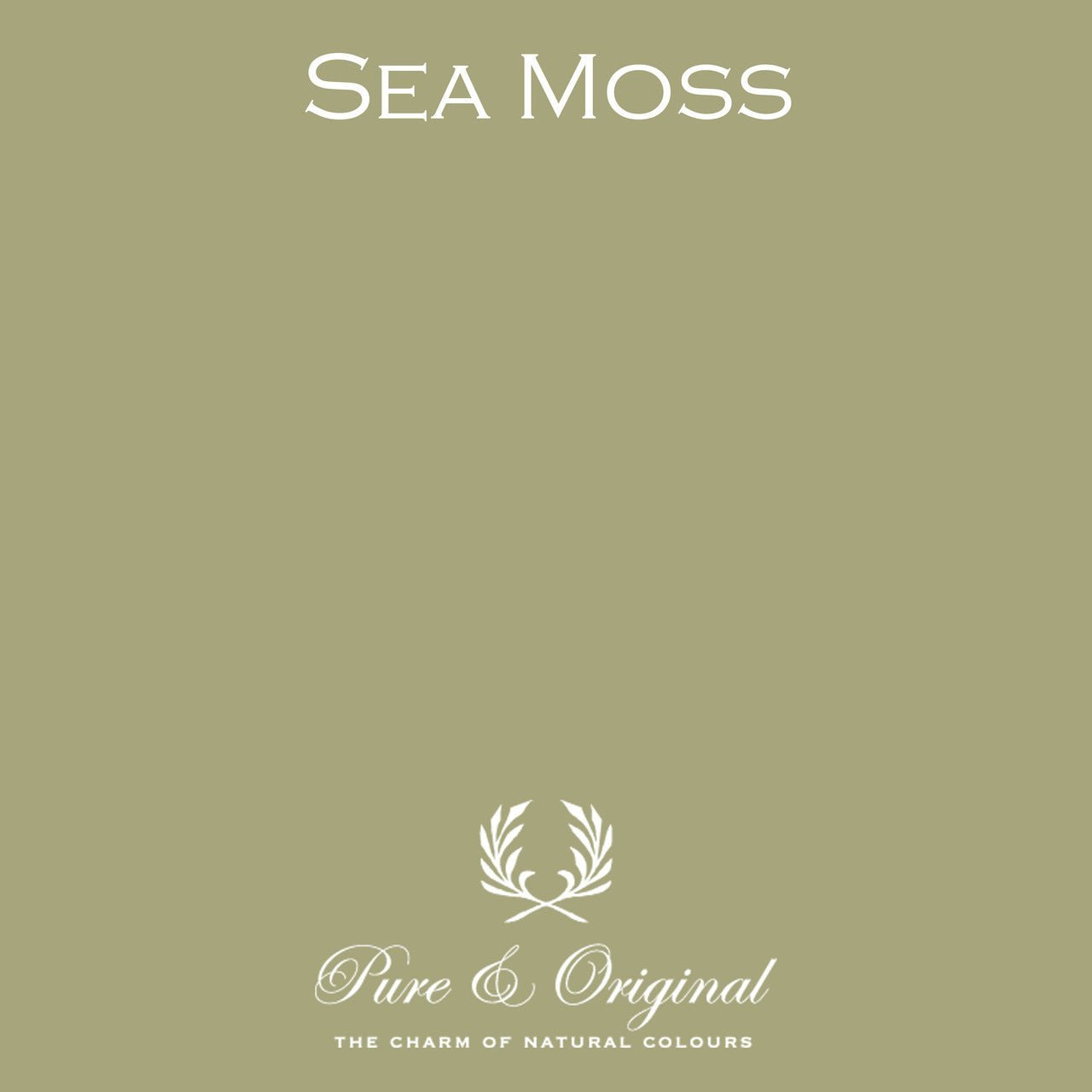 Sea Moss Eggshell Lak Pure & Original - Traumfarbe