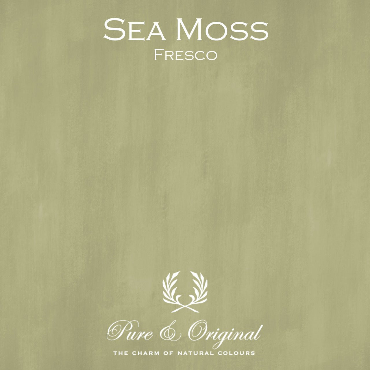 Sea Moss Fresco Kalkfarbe Pure & Original - Traumfarbe