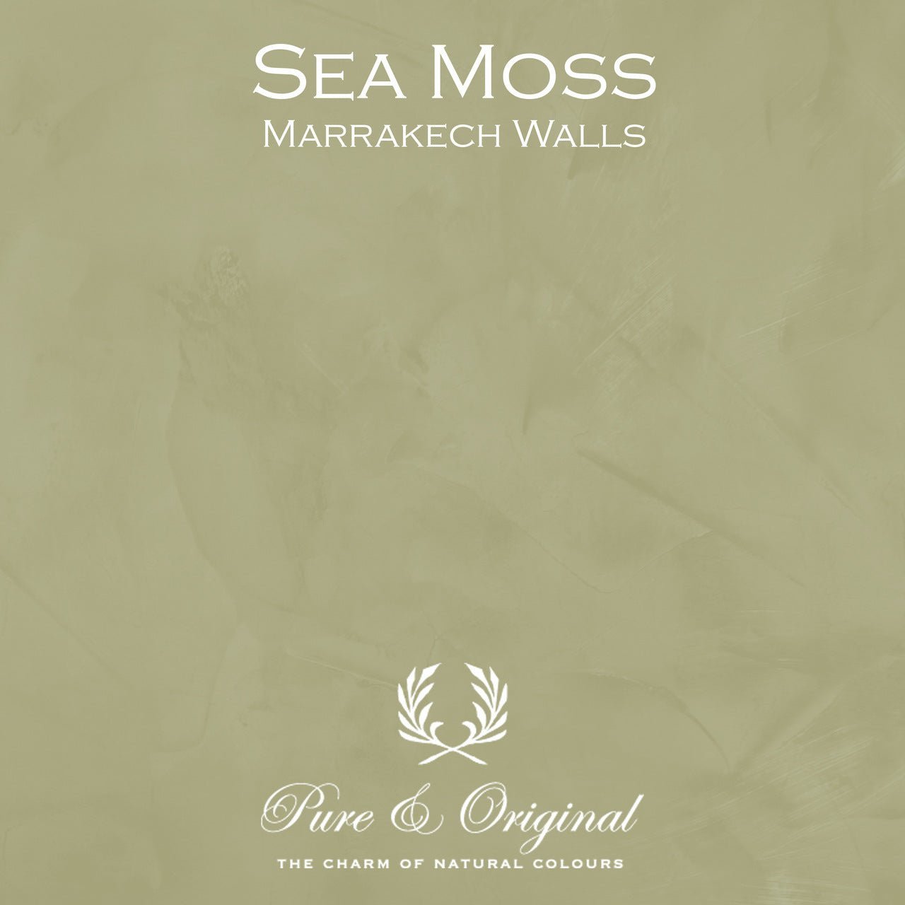 Sea Moss Marrakech Walls Pure & Original - Traumfarbe