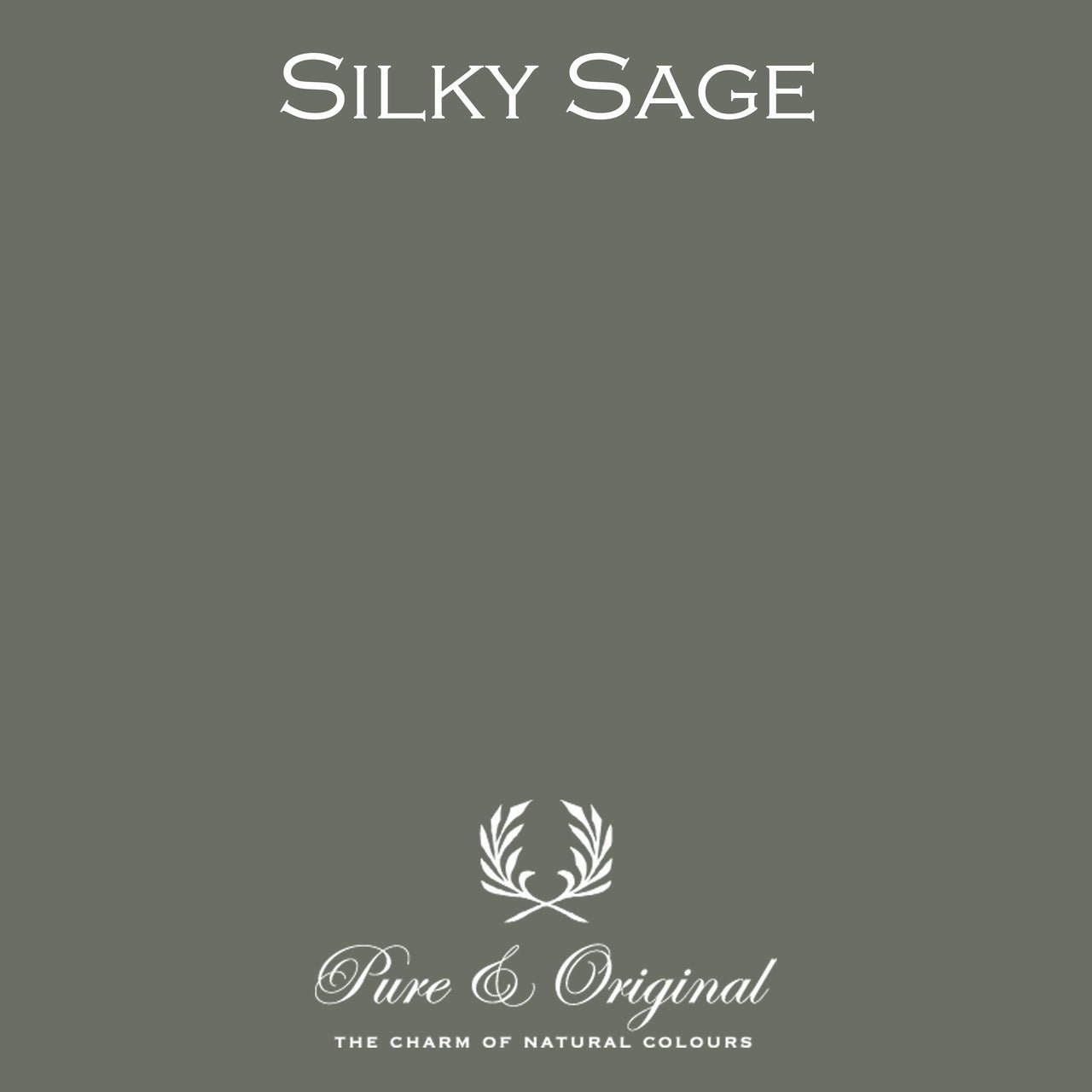 Silky Sage Massif Stucco Pure & Original - Traumfarbe