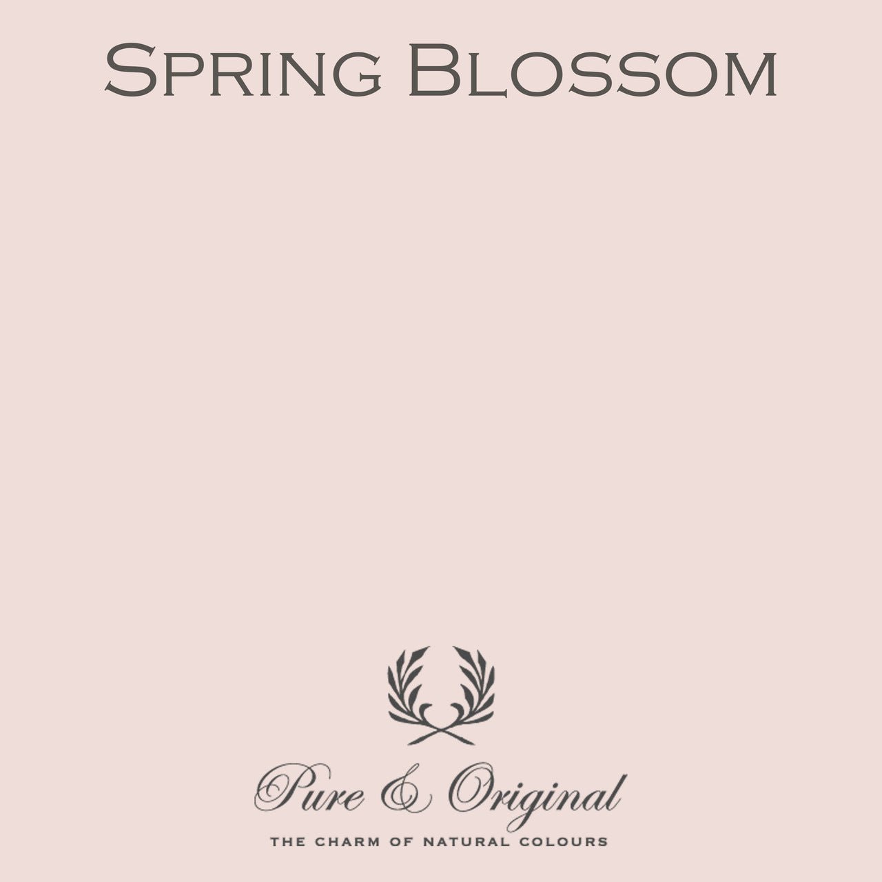 Spring Blossom Eggshell Lak Pure & Original - Traumfarbe