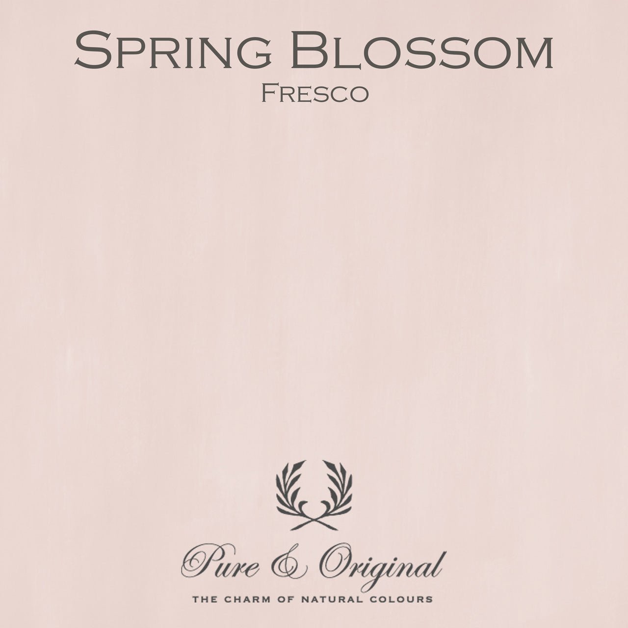 Spring Blossom Fresco Kalkfarbe Pure & Original - Traumfarbe