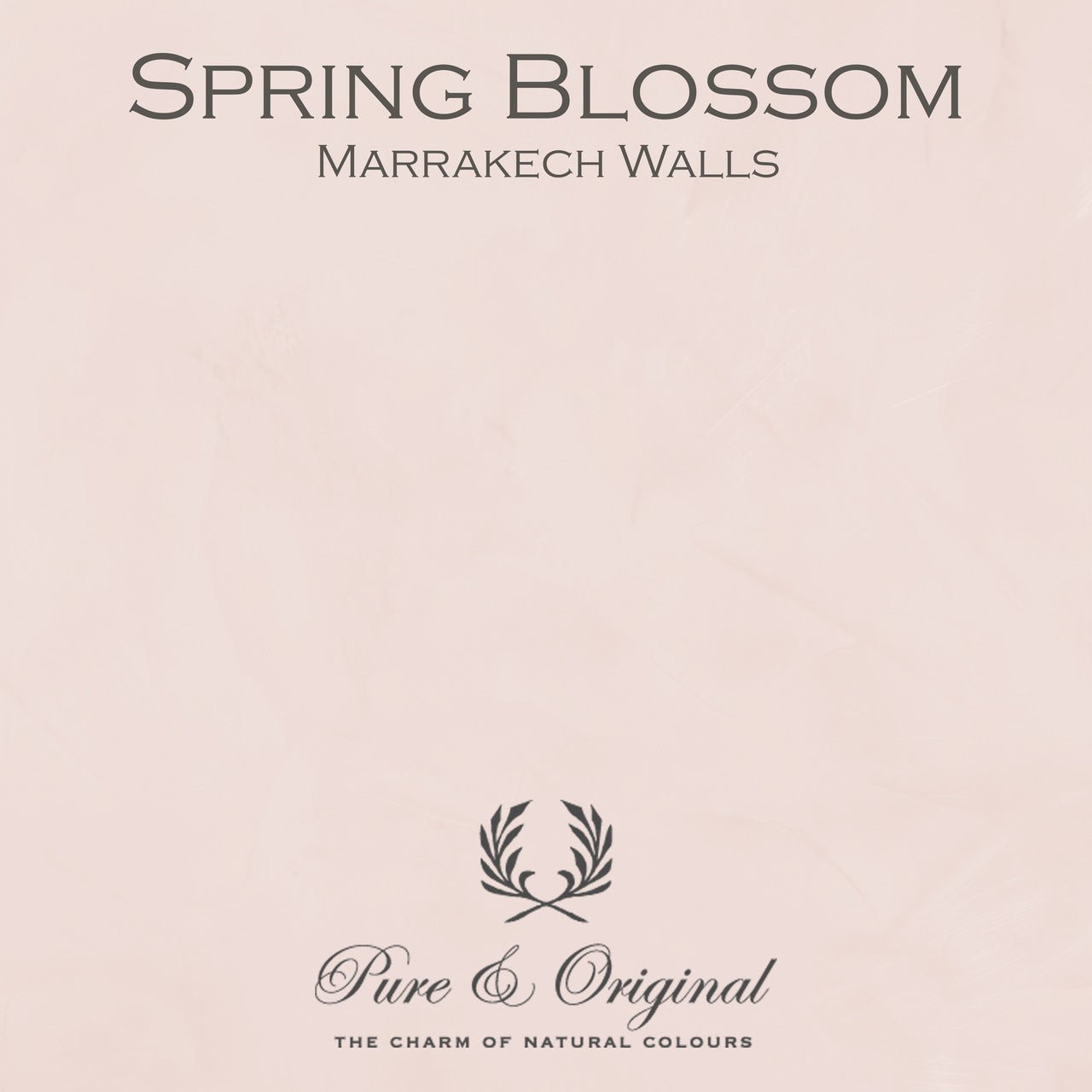 Spring Blossom Marrakech Walls Pure & Original - Traumfarbe