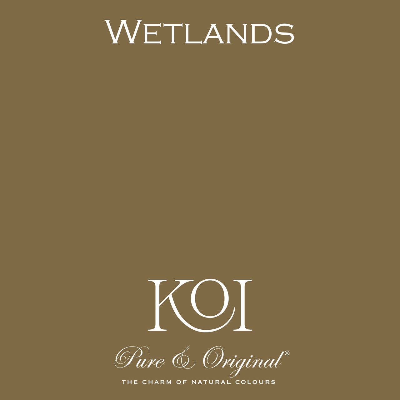 Wetlands Licetto (abwaschbare Farbe) Pure & Original - Traumfarbe